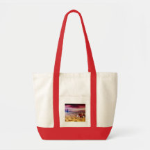 Indianos americanos bolsas para compras