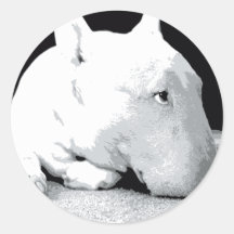 Inglês bull terrier, impressão do pop art adesivos redondos