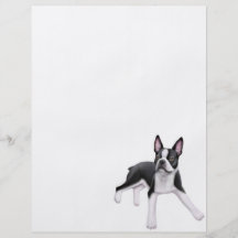 Insecto de Boston Terrier Panfleto Personalizado