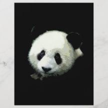 Insecto do urso de panda modelos de panfleto