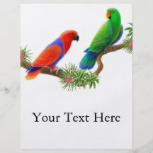 Insecto dos pássaros de Eclectus Panfleto Personalizados