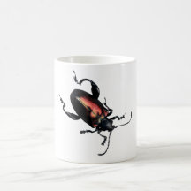 Inseto preto e vermelho do besouro caneca