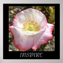 Inspire o poster da papoila