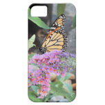iPhone 5 da case mate da borboleta de monarca Capa iPhone 5