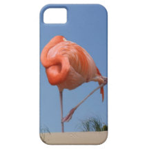 iPhone 5 da praia do flamingo Capa iPhone 5