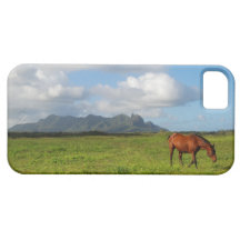 iPhone 5 de Havaí Kauai - cavalo de Kapaa iPhone 5 Capa