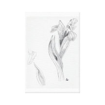 Íris 2 impressão de canvas envolvidas