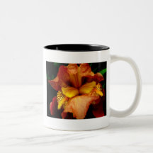 Íris alaranjada caneca