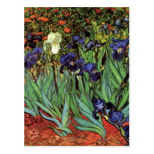 Íris de Van Gogh, arte dos apos impressionismo do  Cartoes Postais