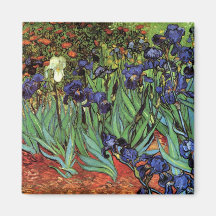 Íris de Van Gogh, arte dos apos impressionismo do  Imã