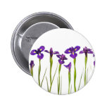 Íris roxas - modelo personalizado flor da íris botons