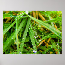 IrishGrass Poster