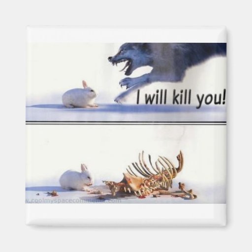 ironia animal