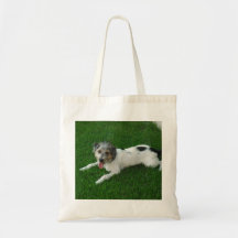 Jack Russell Terrier Bolsa