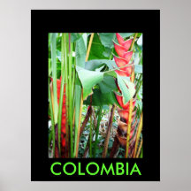 JARDIN BOTANICO, MARSELLA POSTER
