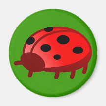 Joaninha ladybug imã