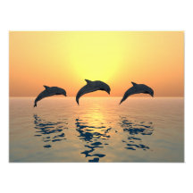 Jumping Dolphins Impressão De Fotos
