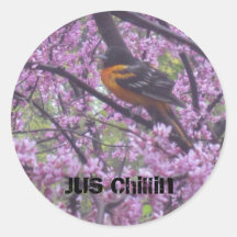 Jus Chillin Adesivos