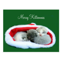 Kittenmas alegre cartão postal