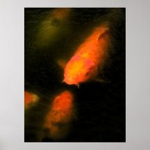 Koi Pôsteres