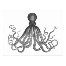 Kraken - polvo gigante preto/Cthulu Cartão Postal