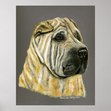 Kruger - arte do cão de Shar Pei Poster