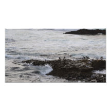 La Jolla, Califórnia Impressão Fotográficas