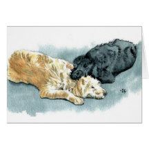 Labradoodles no cartão do amor