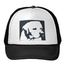 Labrador Boné
