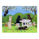 Labrador & ovos da páscoa cartao postal