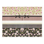 Laço branco feminino elegante e rosas cor-de-rosa cartões postais