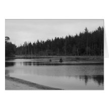 Lago empire em preto & no branco cartões
