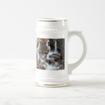 Leão de montanha na cachoeira caneca