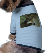 leão roupas para animais de estimação