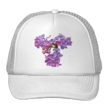 Lilacs na primavera bonés