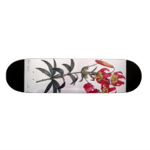 Lilium Superbum, Pierre Joseph Redouté Skates