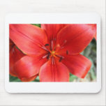 lily.JPG vermelho Mousepads