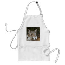 lince siberian 001 aventais
