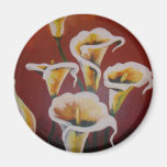 Lírios de Calla brancos Imãs