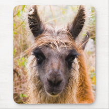 Llamas Mouse Pad
