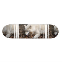 Lobo branco bonito skate