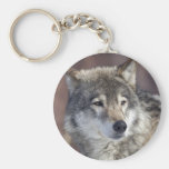 Lobo Chaveiros