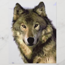 Lobo cinzento panfletos personalizados