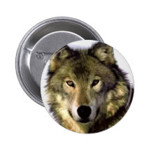 Lobo cinzento pins