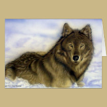 Lobo do inverno postais
