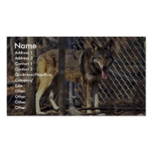 Lobo vermelho cartões de visita