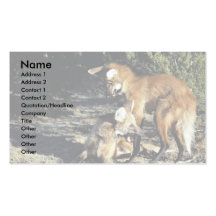 Lobos Maned, pares acoplados Cartões De Visitas