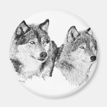 Lobos solitários ima