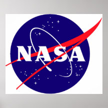 Logotipo do Meatball da NASA Poster
