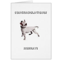 logotipo pequeno, Congradulations! Hurray! Cartao